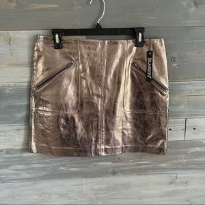 NWT BlankNYC metallic skirt size 30